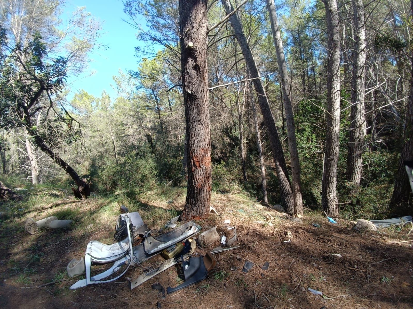 Dos jóvenes fallecen al chocar con su coche contra un árbol en la carretera de Puigpunyent