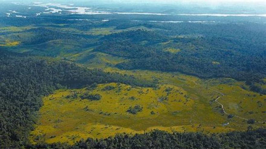 Aprobada la ley que rebaja la protección de la Amazonia brasileña