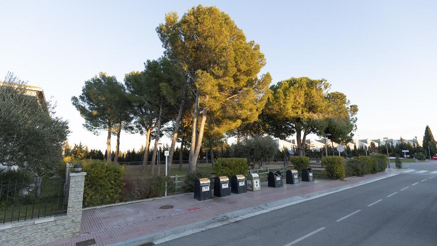 Polèmica veïnal a Vilamalla per la petició de talar uns pins del parc de la Closeta