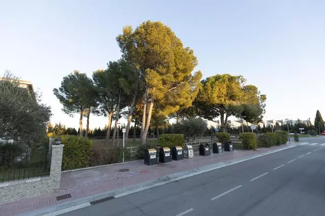 Polèmica veïnal a Vilamalla per la petició de talar uns pins del parc de la Closeta