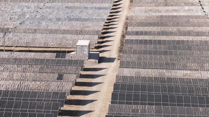 Ecologistas advierten de que las plantas solares previstas en Elche alcanzarán 500 hectáreas