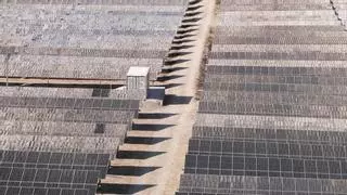 Ecologistas advierten de que las plantas solares previstas en Elche alcanzarán 500 hectáreas