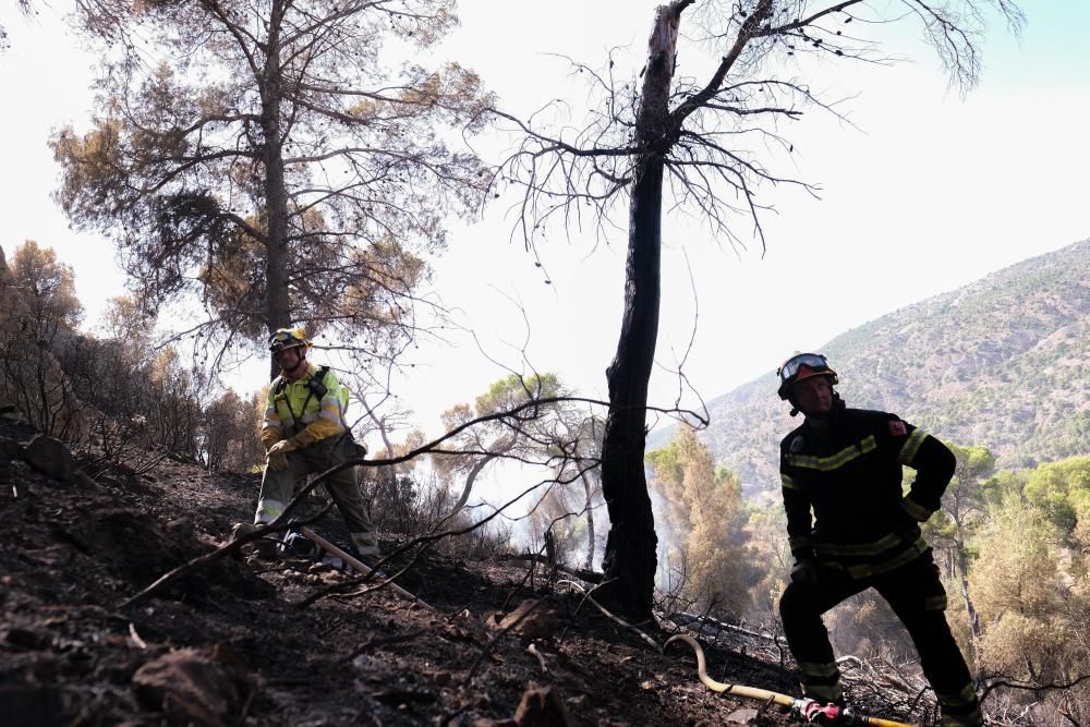 El fuego se inició a última hora de ayer miércoles y ha estado activo toda la noche.