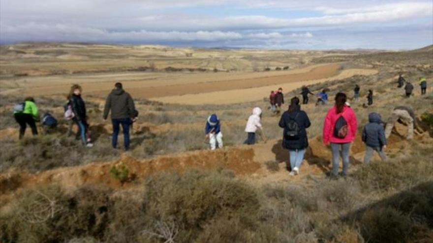 Jornada familiar de plantación