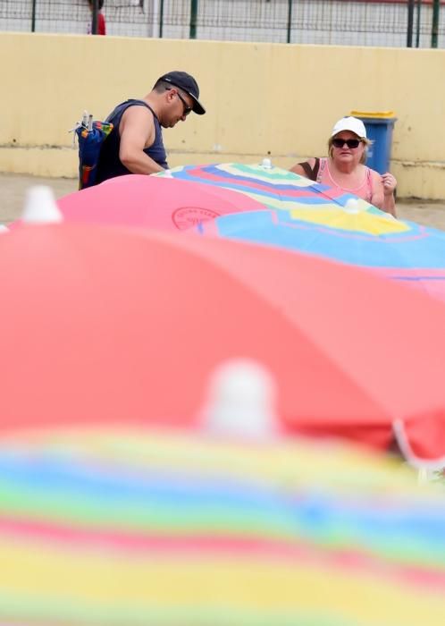 Dia del Pino en la Playa de Las Alcaravaneras