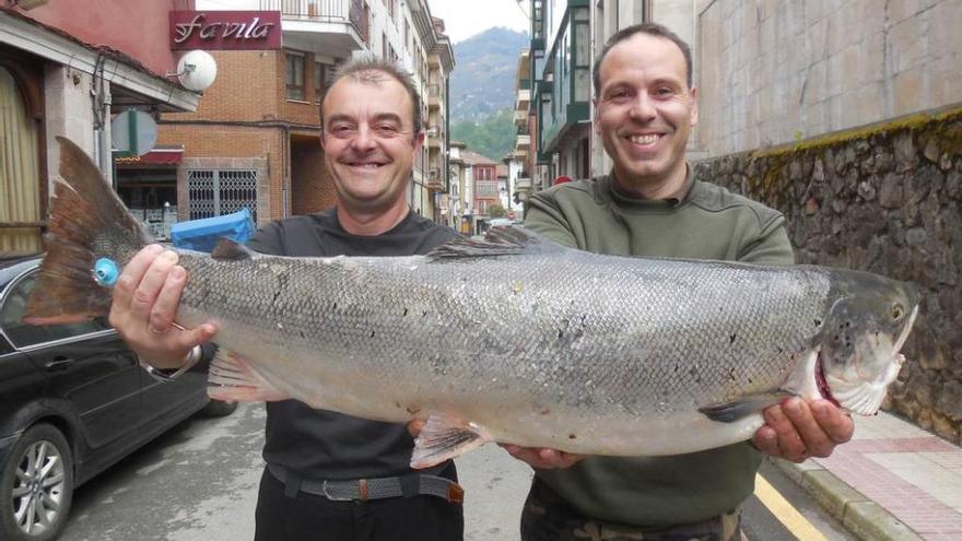 Antonio Calleja (derecha) posa ayudado por José Luis Rodrigo con el salmón de 10,150 kilos que pescó ayer en el Sella.