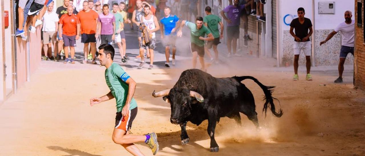 València acogerá  la jornada en beneficio de la Fundación del Toro de Lidia