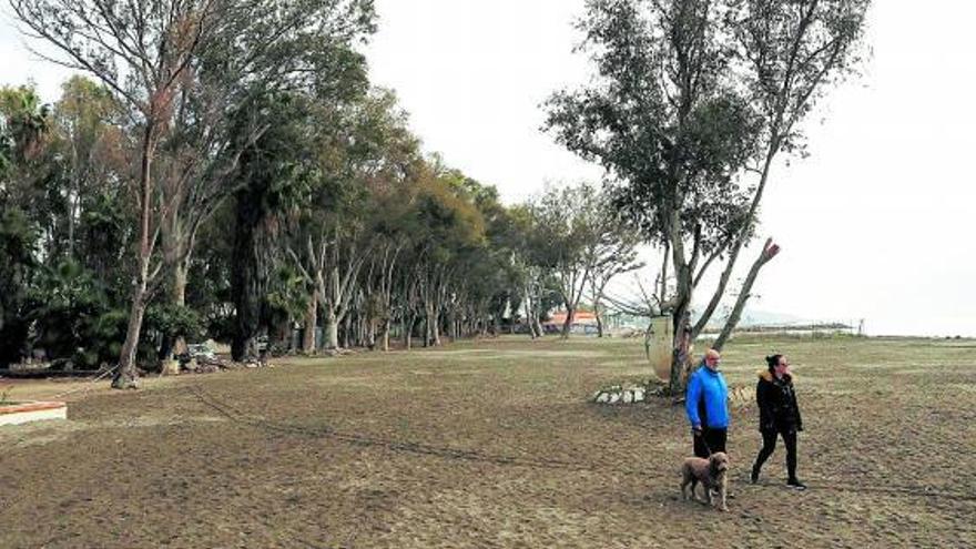 Playa y eucaliptal del Balneario del Carmen