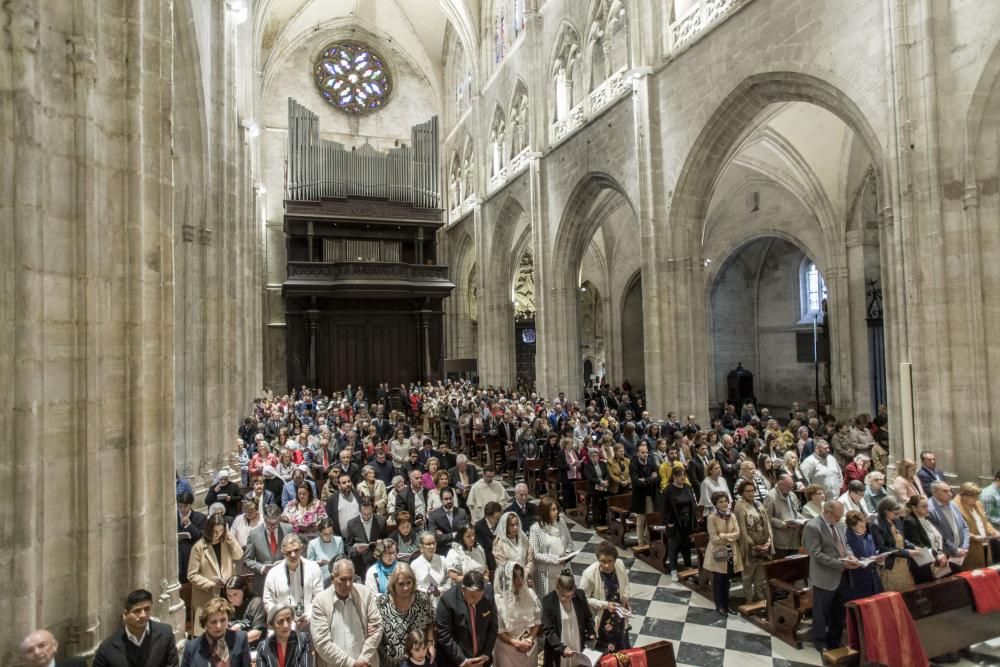 Ordenación de nuevos sacerdotes en la Catedral