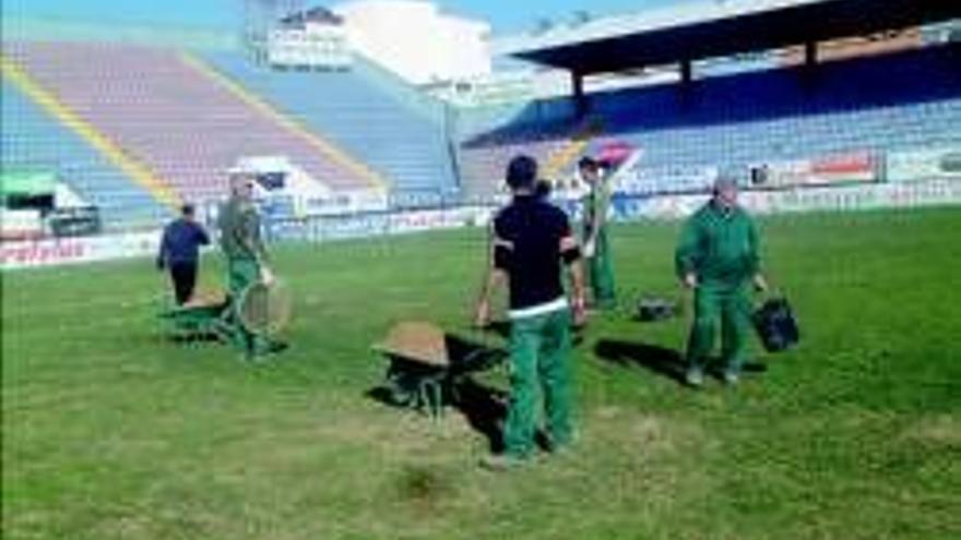 Operarios municipales replantan el estadio