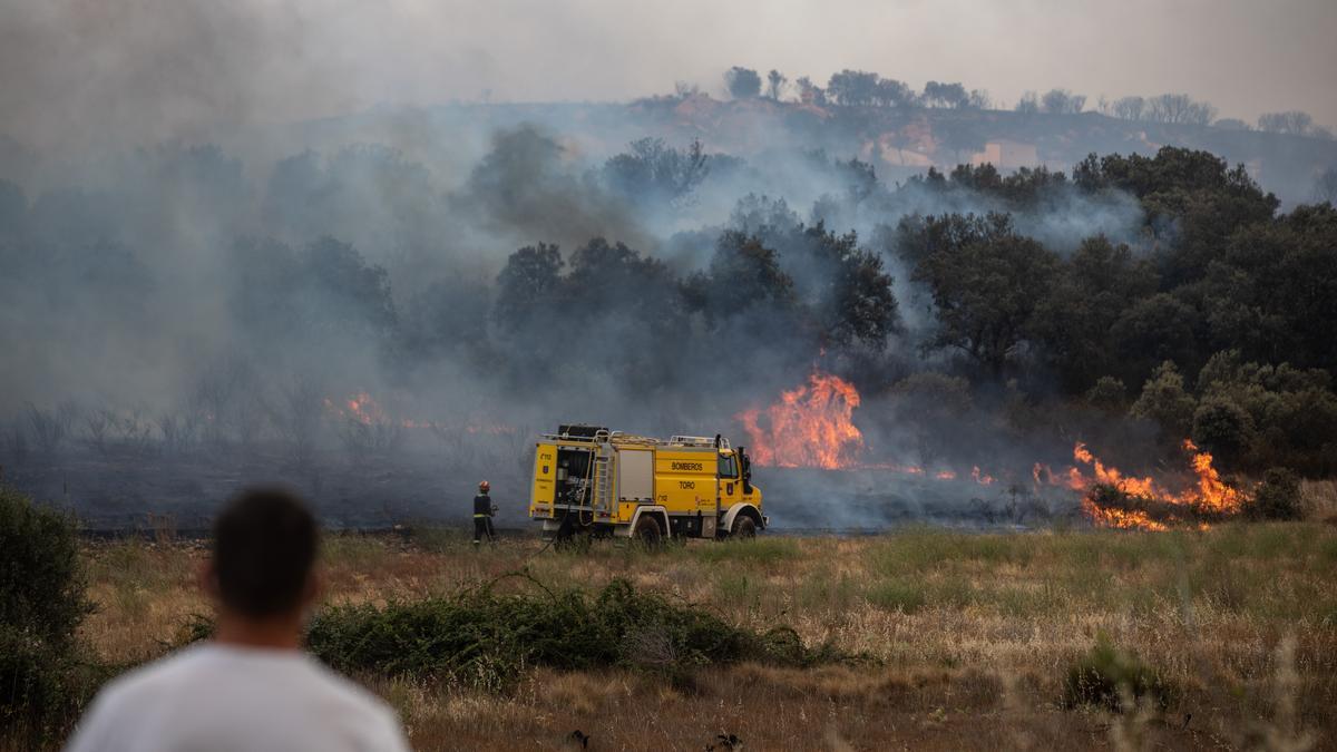 Incendio en Zamora originado en Losacio.