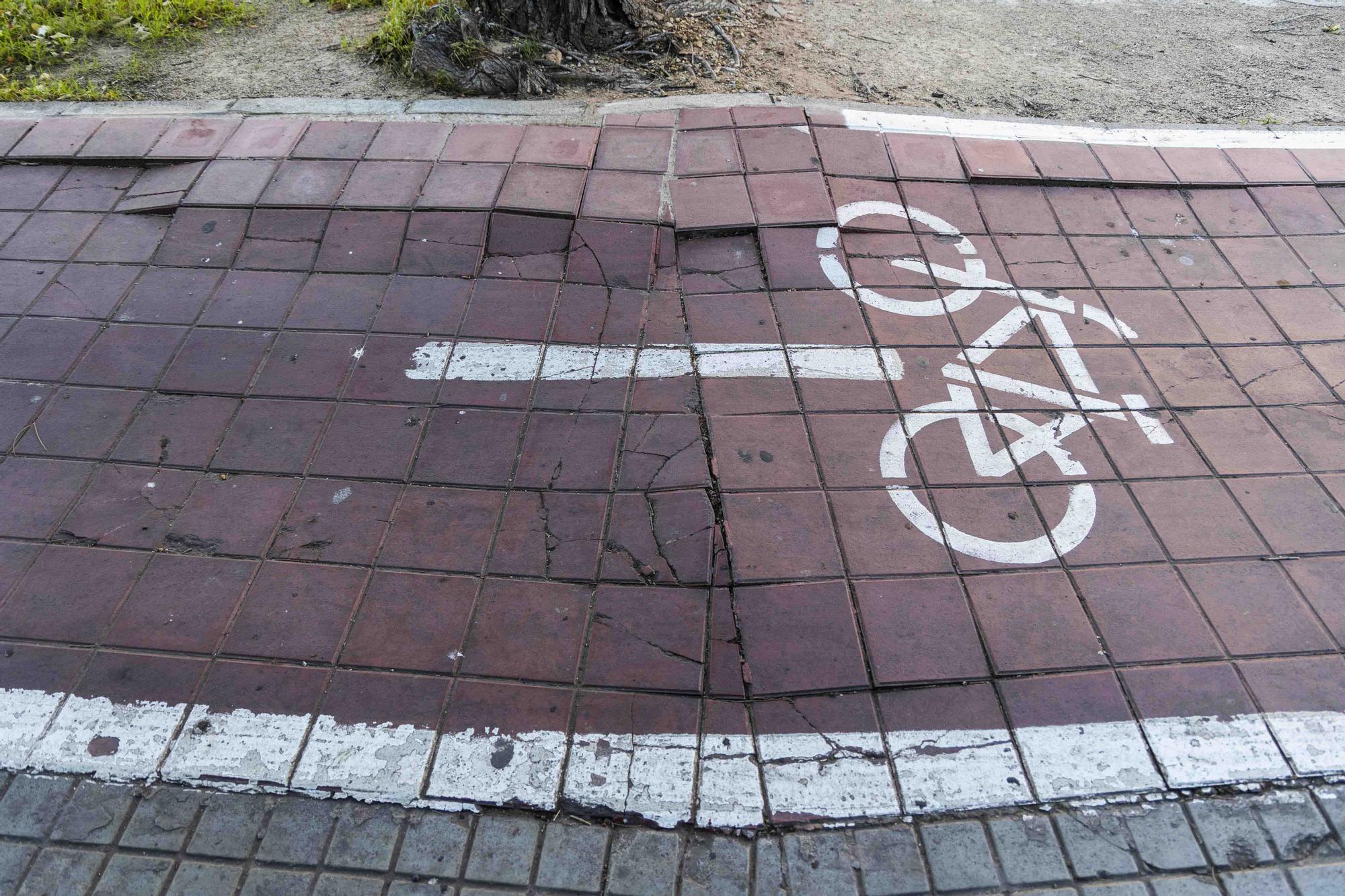 La falta de mantenimiento convierte este carril bici en una montaña rusa