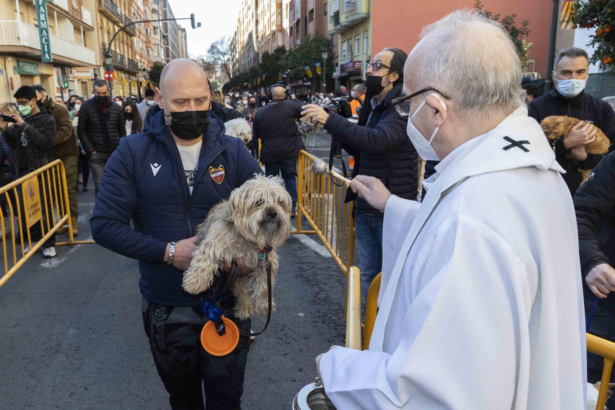 Búscate en la bendición de animales de Sant Antoni