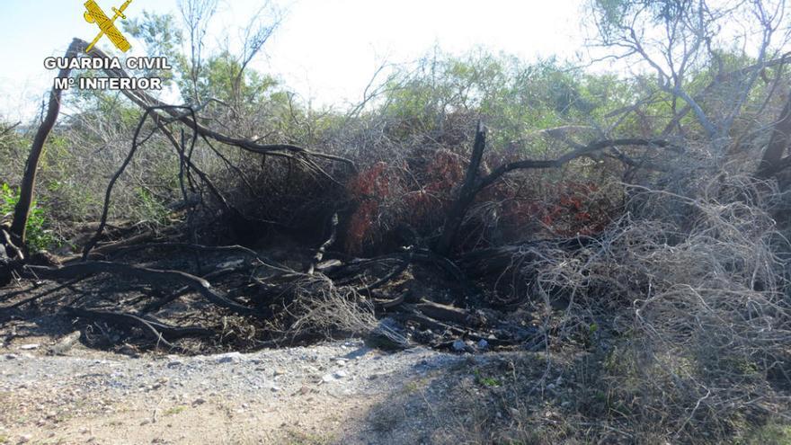 Detenido un octogenario por provocar cuatro incendios forestales en La Manga