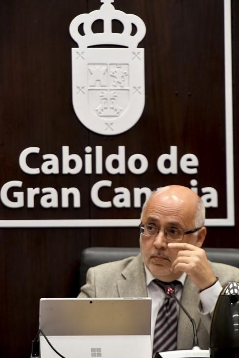 31-01-20 GRAN CANARIA. CABILDO INSULAR. LAS PALMAS DE GRAN CANARIA. Pleno del Cabildo.     Fotos: Juan Castro.  | 31/01/2020 | Fotógrafo: Juan Carlos Castro