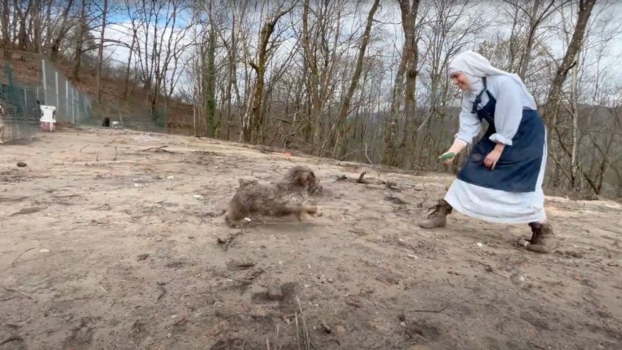 Habla la monja cismática que entrena a los perros: &quot;Ellos entienden que soy una especie de mamá&quot;