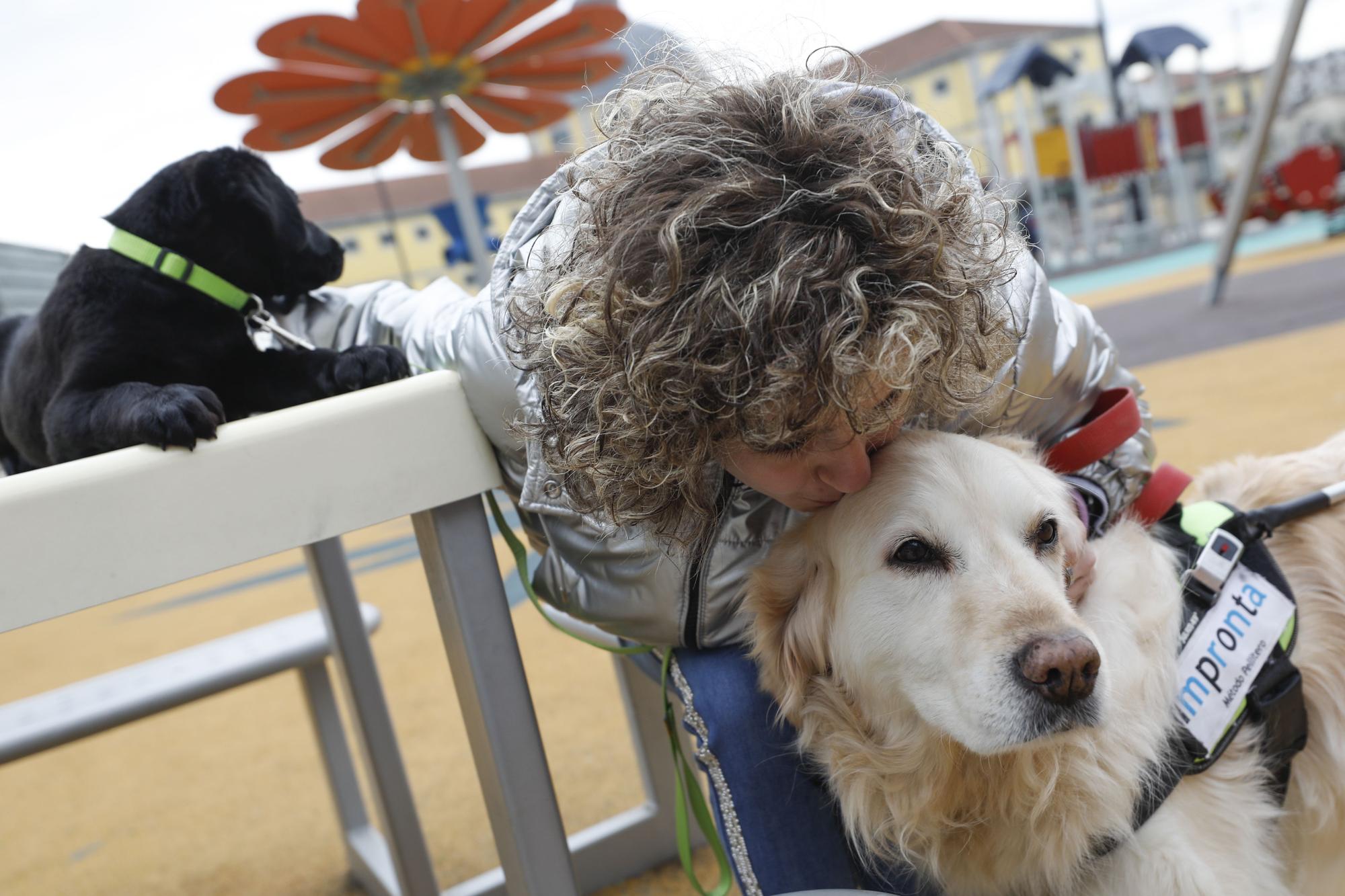 Carmen López, la primera invidente de Europa con título para entrenar perros guía