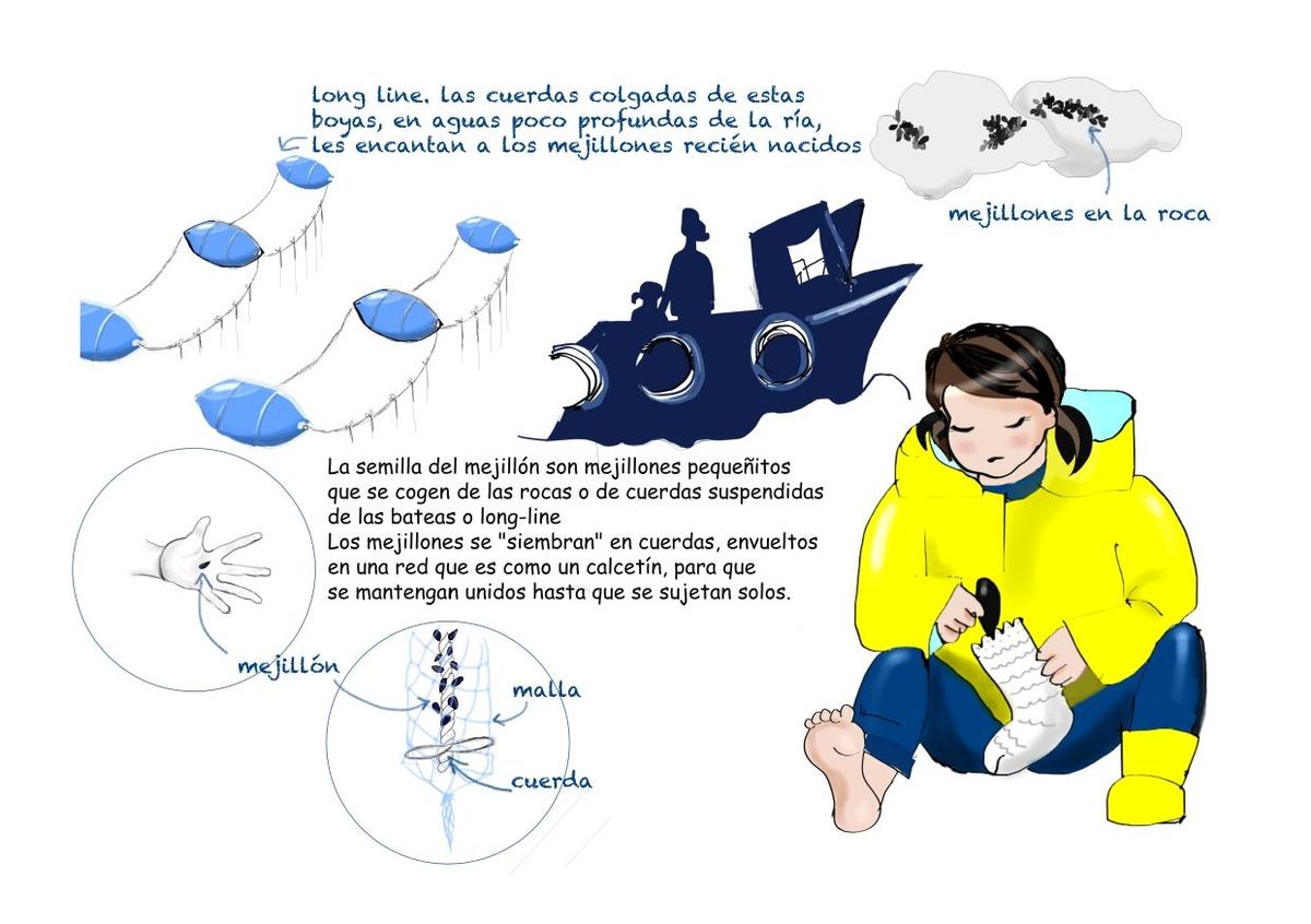 Imagen con la que Proinsa explica el proceso de obtención de cría.