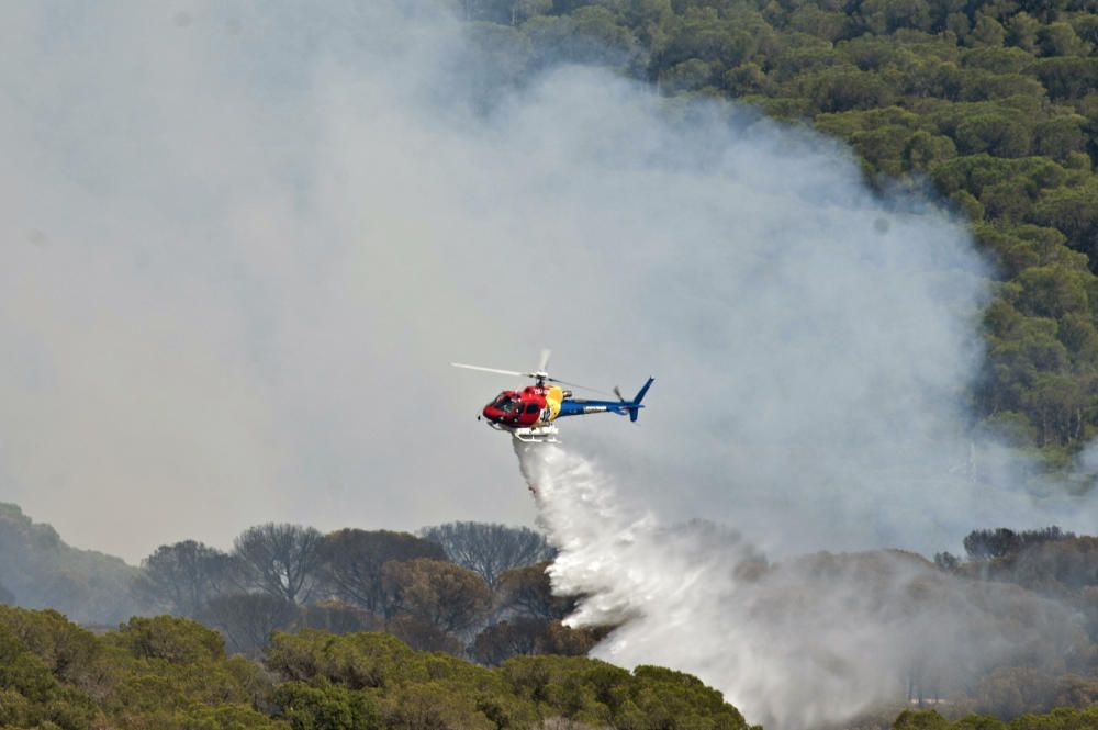 Incendi forestal a Blanes