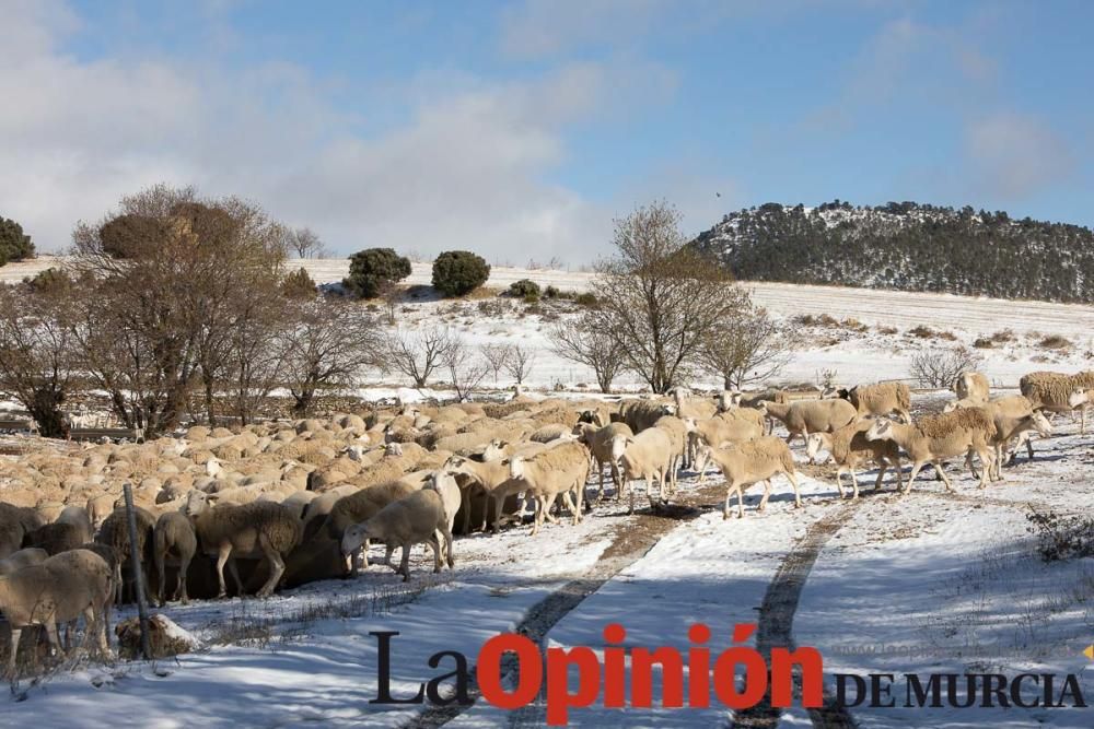 La nieve llega a las pedanías de la comarca del No