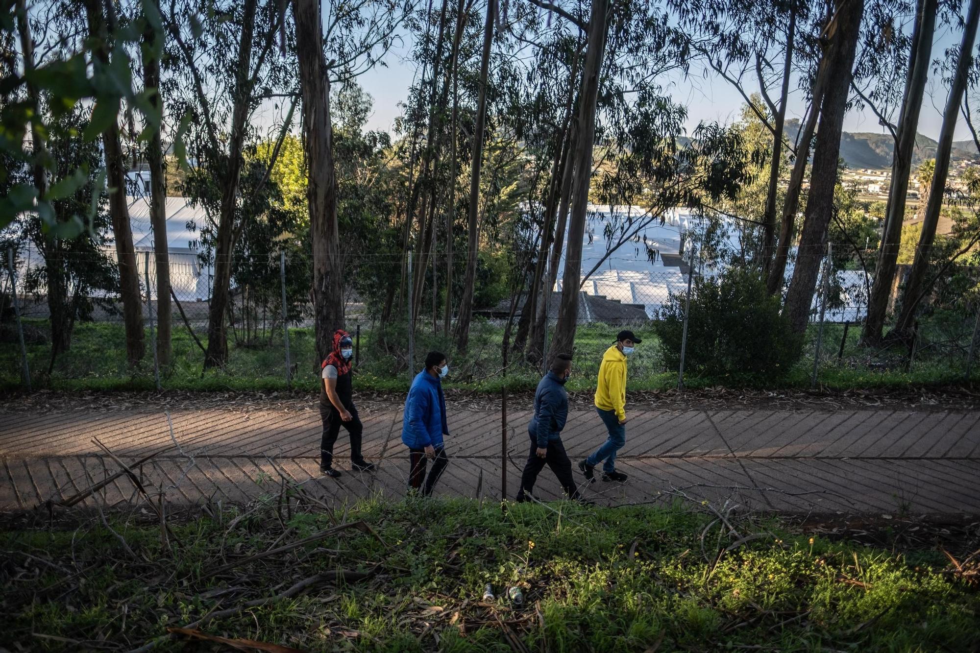 Protestas de los migrantes de Las Raíces