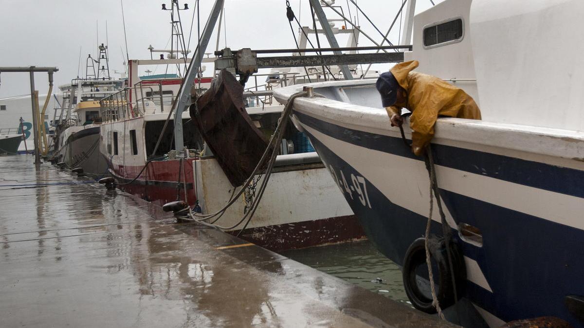 Dénia rechaza que se prohíba la pesca de &quot;tresmall&quot; en el litoral de l&#039;Almadrava