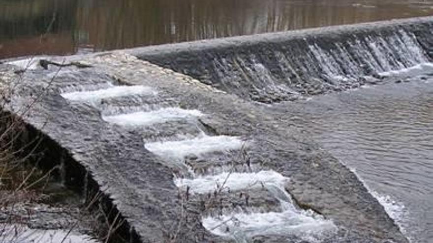 Escala per a peixos al Ter, a Ripoll.