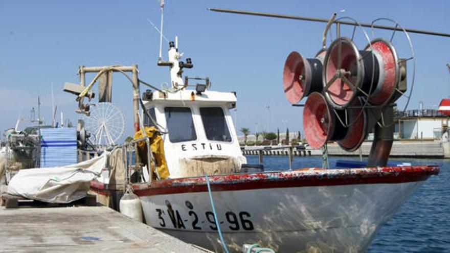 Prohíben la pesca de tellinas