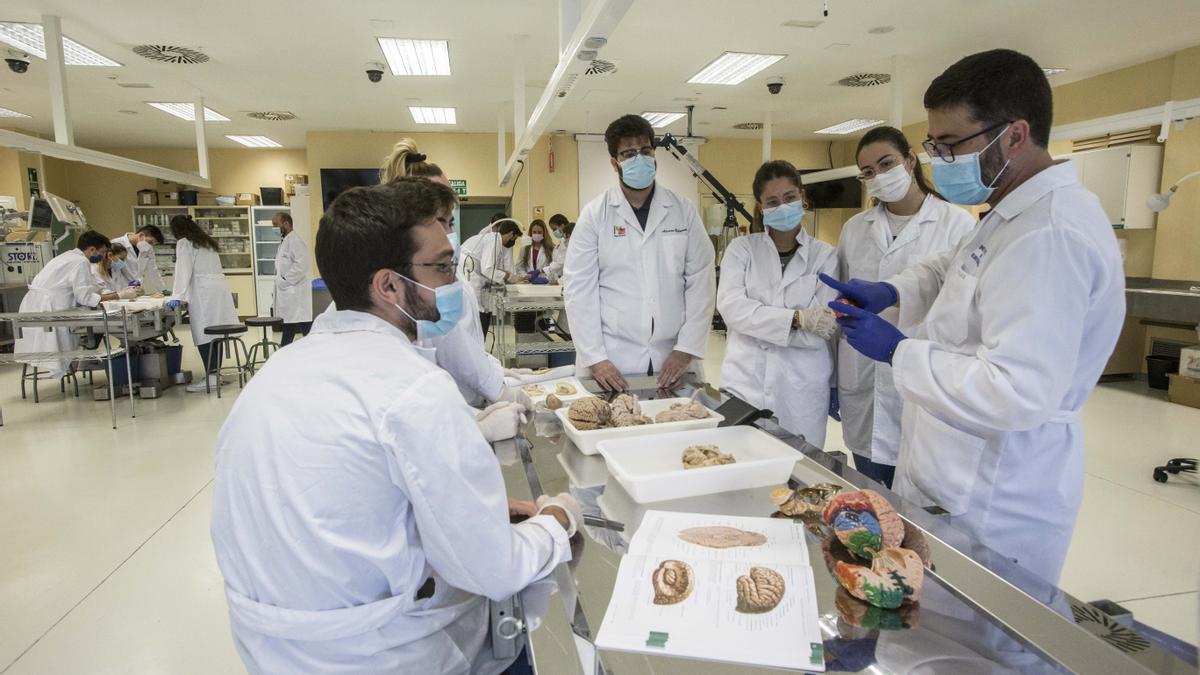 Clase de anatomía en la Facultad de Medicina en la Universidad Miguel Hernández