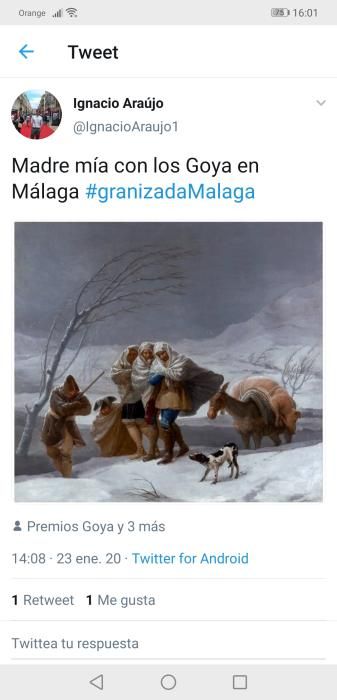 Los memes de la granizada caída en Málaga