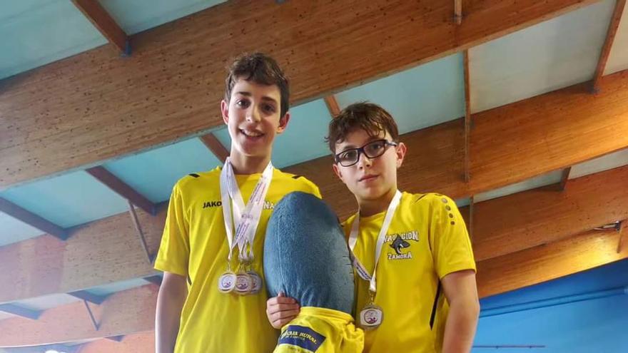 Cinco medallas para el CD Natación Zamora en el Campeonato de Castilla y León Benjamín de verano