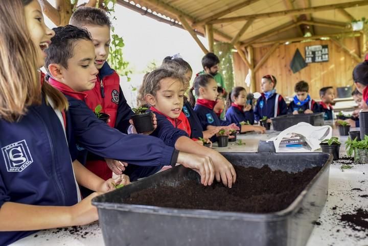 Visita escolar a la Granja Agricola del Cabildo