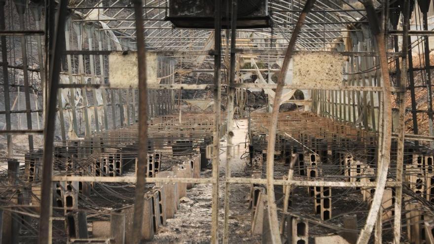 La cronología del domingo en el incendio de Vall d'Uixó: comienzo desolador y noche para la esperanza