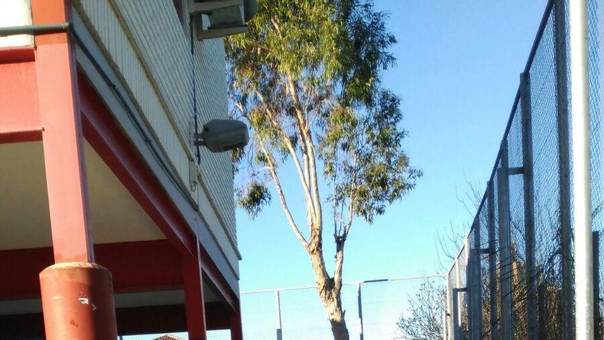 El viento tumba un muro del Colegio Virgen del Rosario en Monteagudo