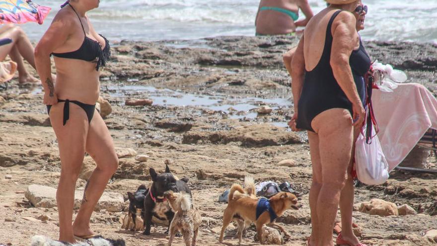 Tramo de uso canino de la playa de Punta Margallo, ahora suprimido por el decreto del alcalde/Foto TONY SEVILLA.