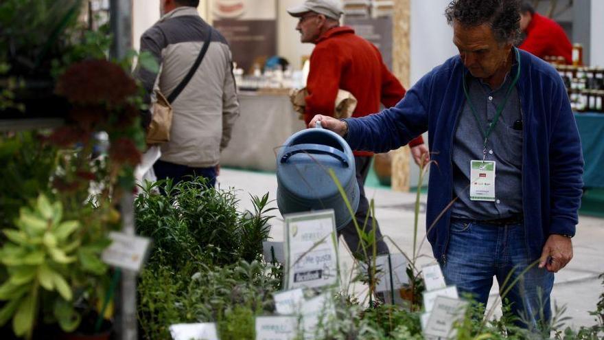 La profesionalización de Ecocultura, reto de la Diputación para las próximas ediciones