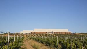 Una de las bodegas de Ramón Bilbao en Valladolid, del grupo Zamora Company. 