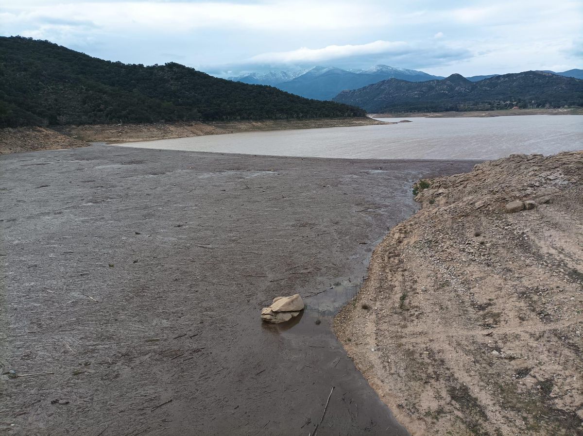 El peu interior de la presa acumula tones de troncs i branques de les riuades