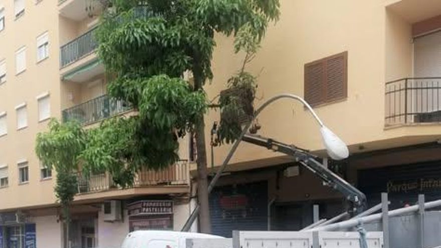 Retiran una farola en Palma a punto de caerse, al tener la base corroída por la orina de los perros