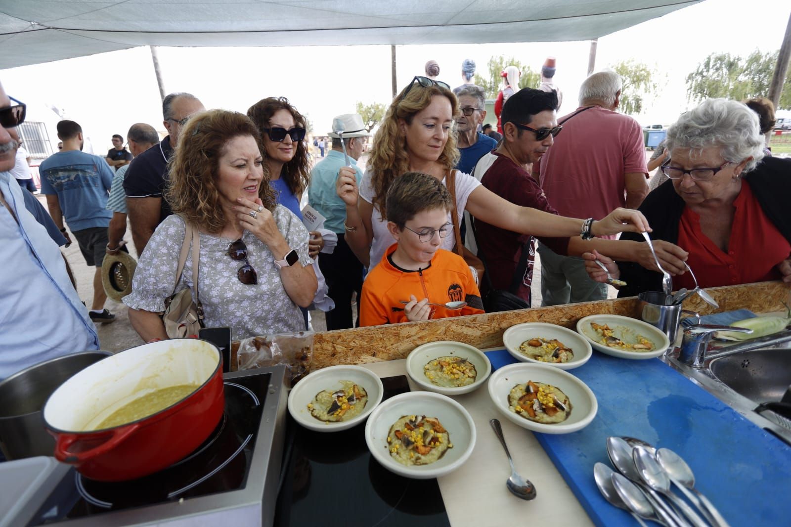 Todas las imágenes de la Fiesta de la Siega del Arroz 2024