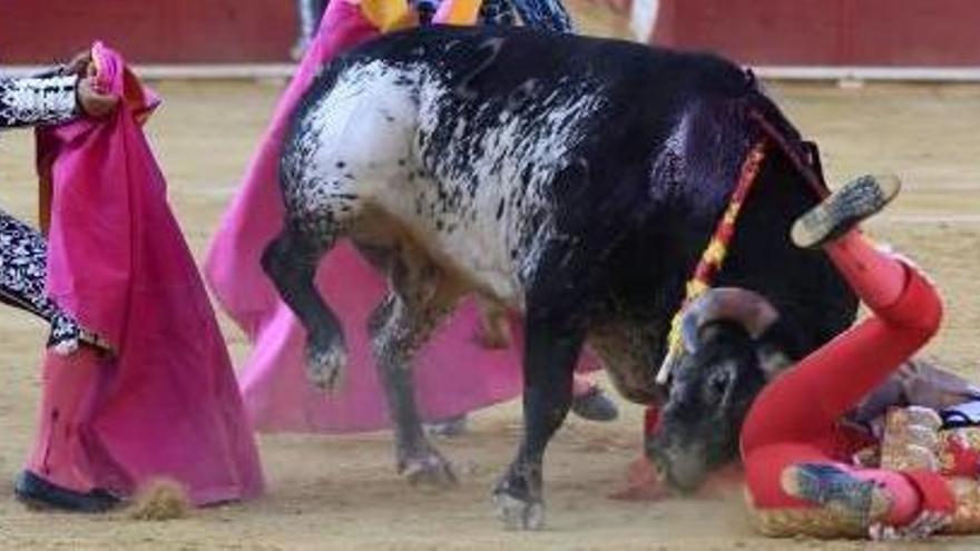 El torero, en el suelo del coso tras sufrir la cogida.