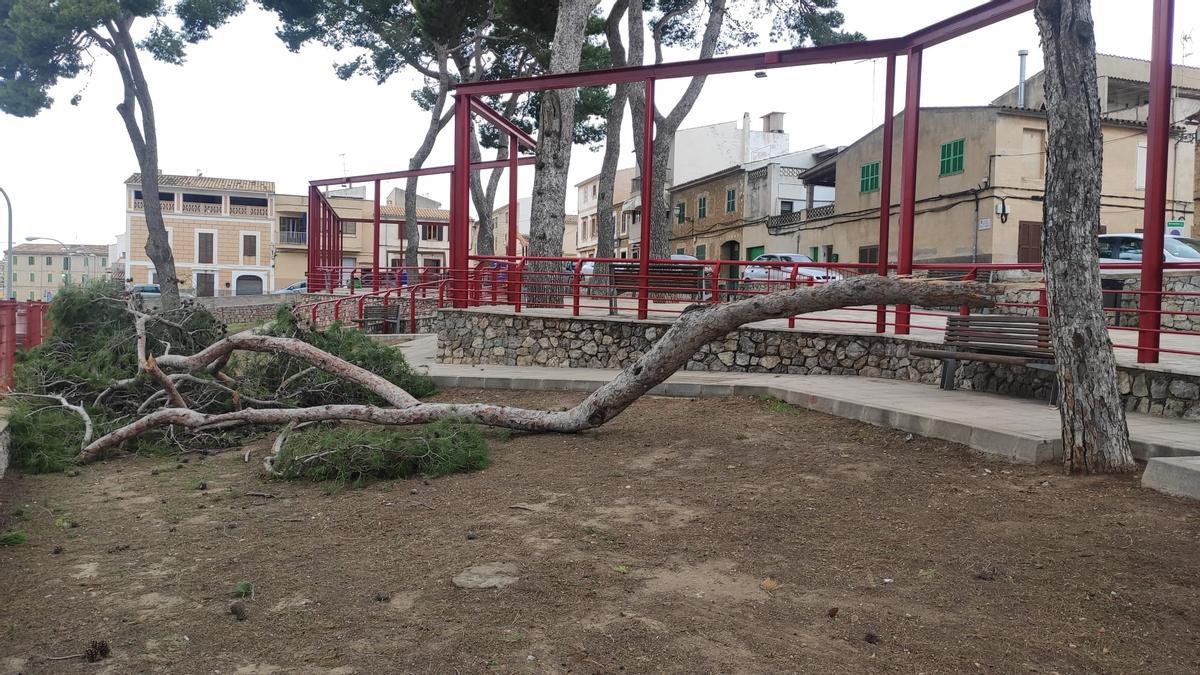 La borrasca Blas provoca un decena de incidencias en Mallorca