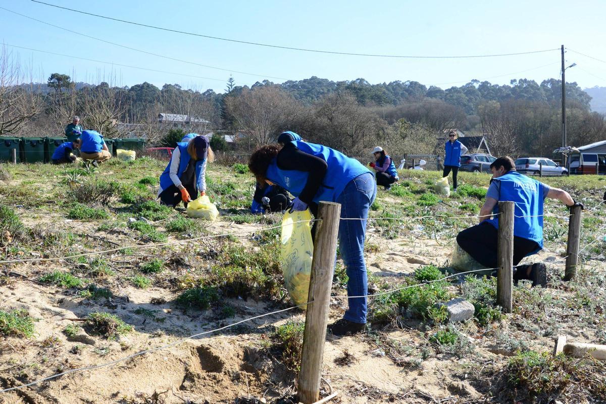La limpieza de la playa de Area de Bon, en Bueu, en imágenes (I)