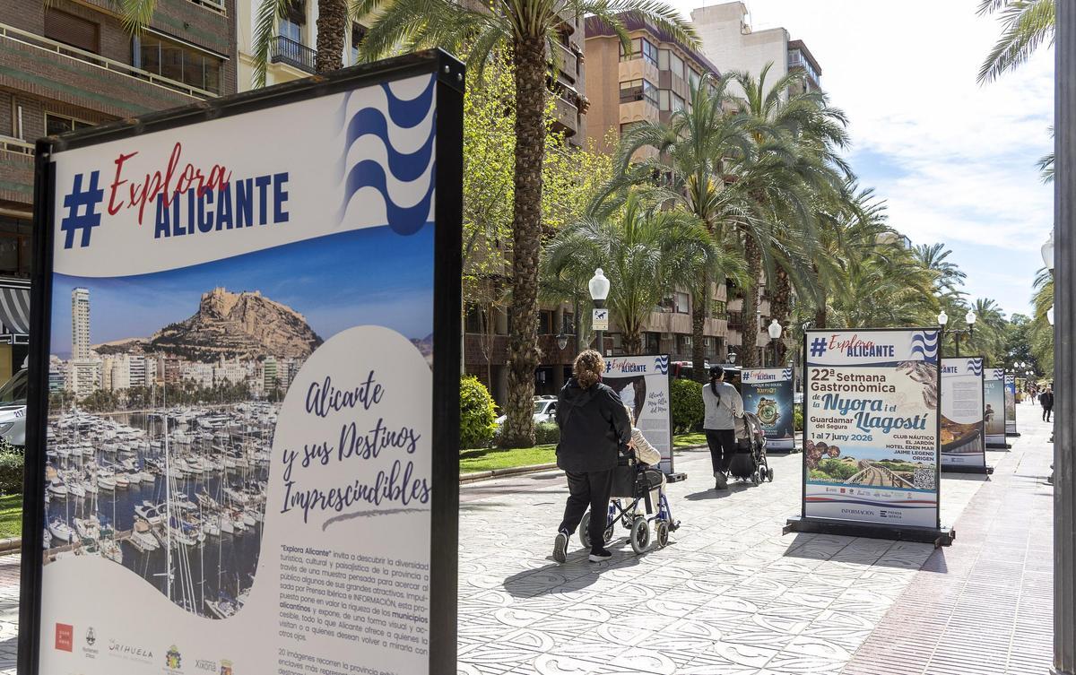 Doctor Gadea acoge la exposición ‘Explora Alicante’ hasta el 15 de abril