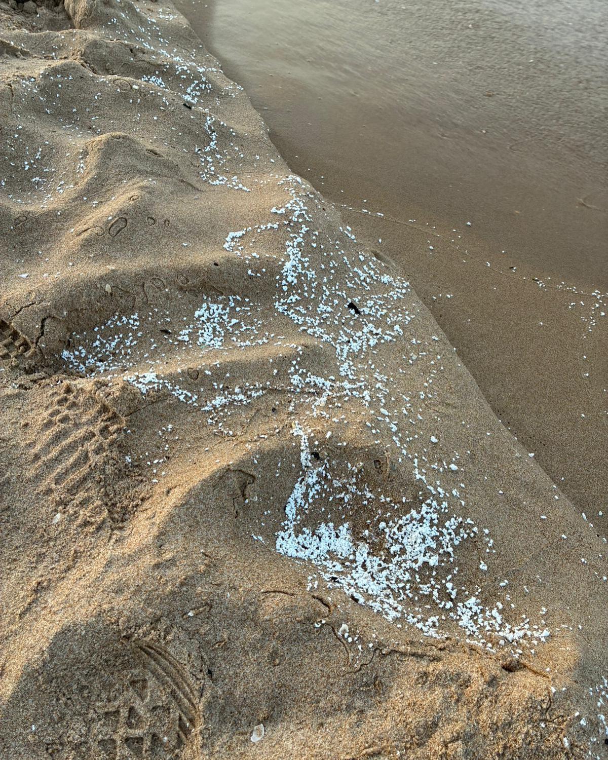 La sustancia aparecida en las playas del sur de la Safor.