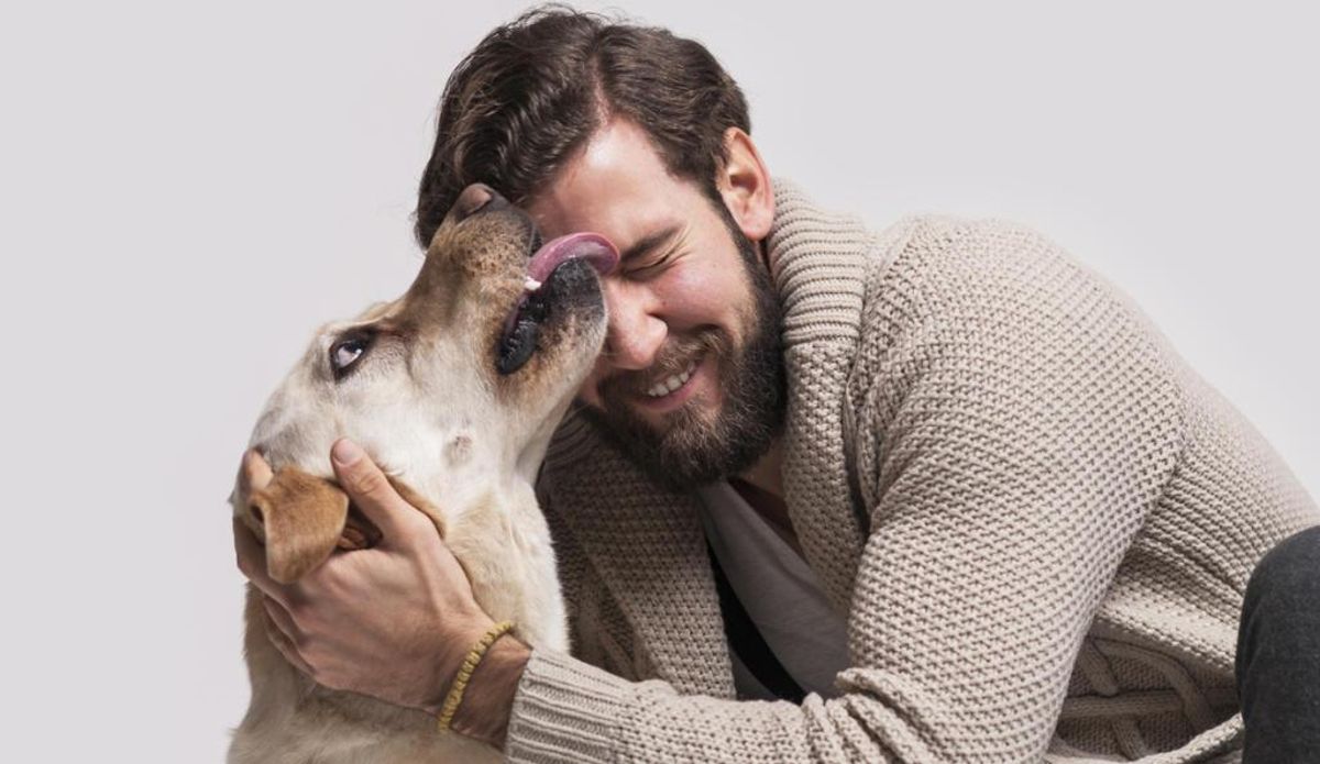 La saliva de los perros puede ser peligrosa.