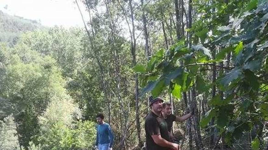 Trabajos de limpieza en Lentille. // FdV