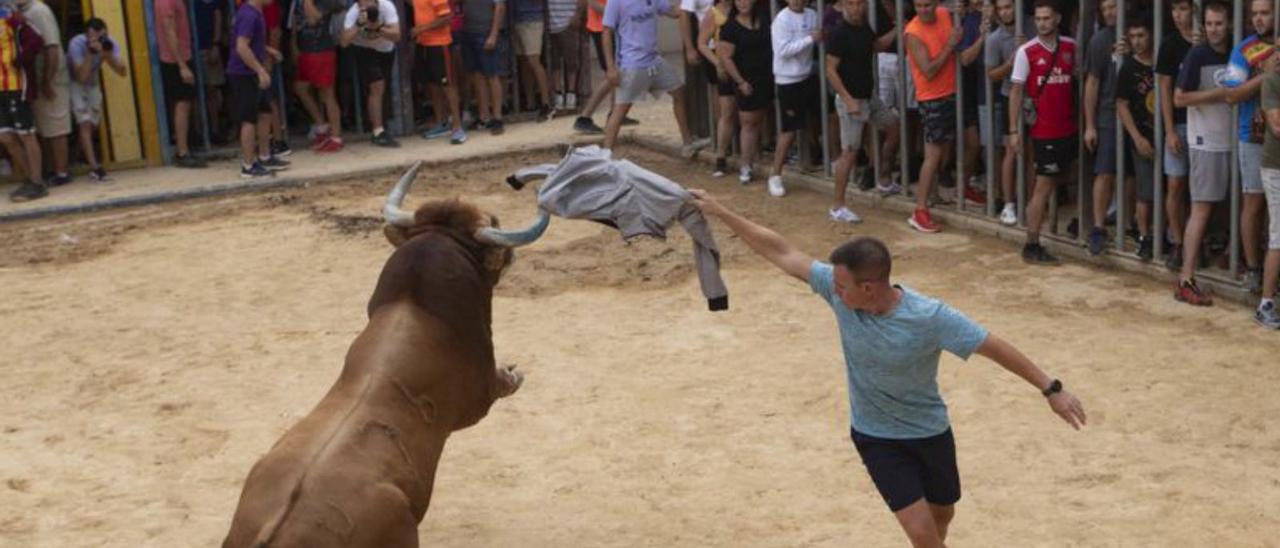 Bous al carrer en Canet. | DANIEL TORTAJADA