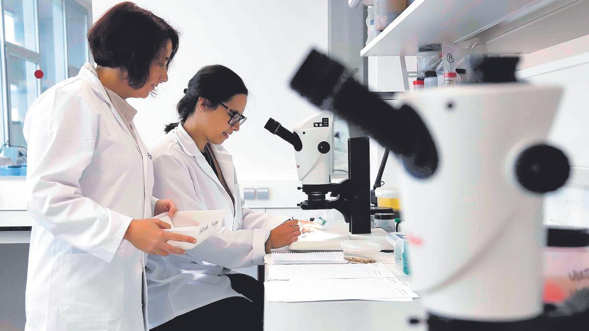 Investigadoras en los laboratorios del Oceanográfico de Málaga.
