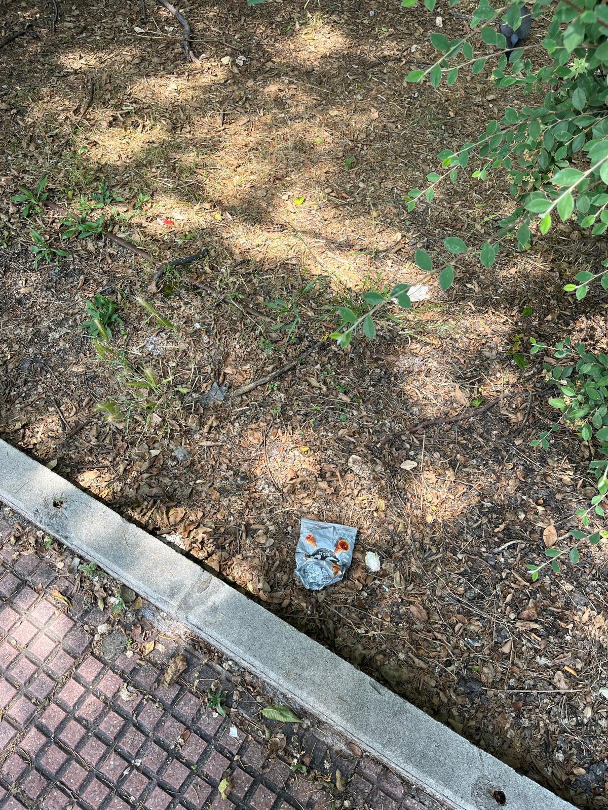 El distrito III, en general, tiene un nivel de limpieza aceptable en las áreas residenciales y zonas más transitadas. Pero se puede mejorar. El distrito III, en general, tiene un nivel de limpieza aceptable en las áreas residenciales y zonas más transitadas. Pero se puede mejorar.